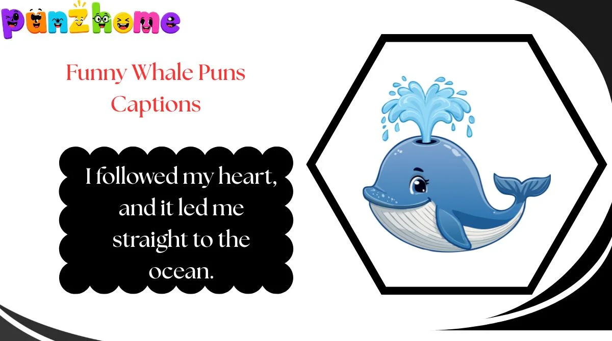 Funny Whale Puns Captions