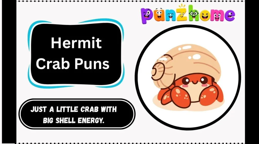 Hermit Crab Puns