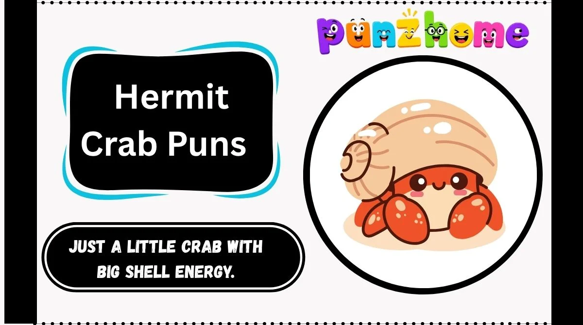 Hermit Crab Puns
