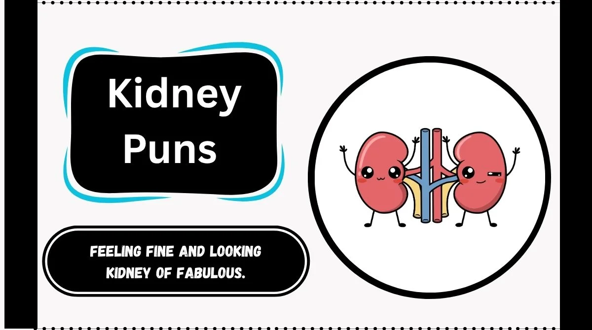 Kidney Puns