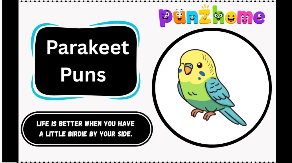 Parakeet Puns