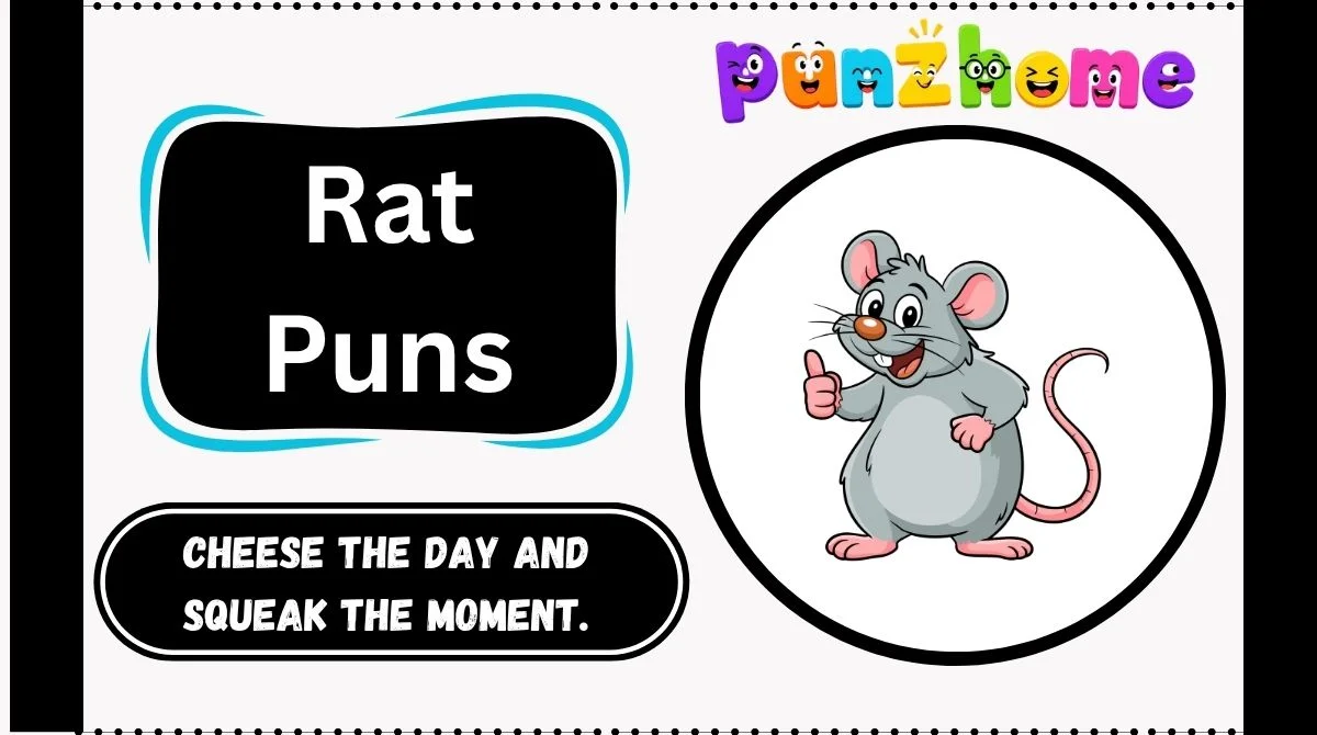 Rat Puns