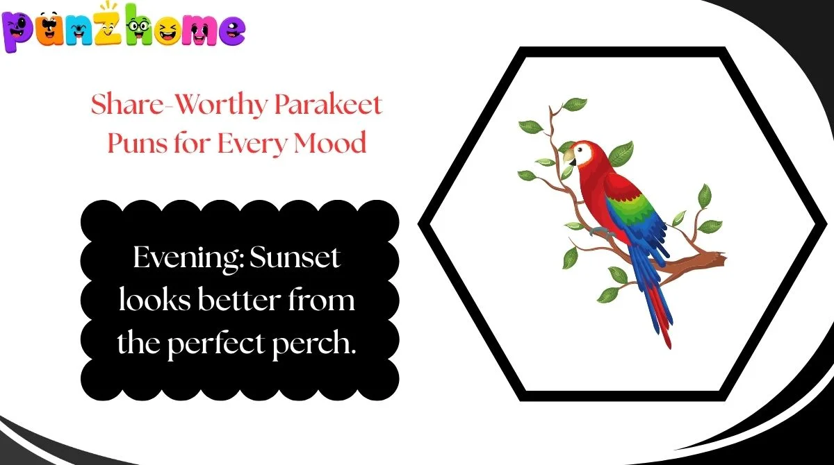 Share-Worthy Parakeet Puns for Every Mood
