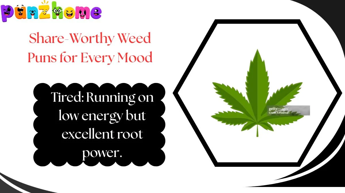 Share-Worthy Weed Puns for Every Mood