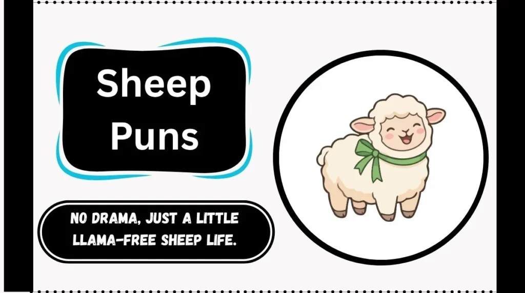 Sheep Puns