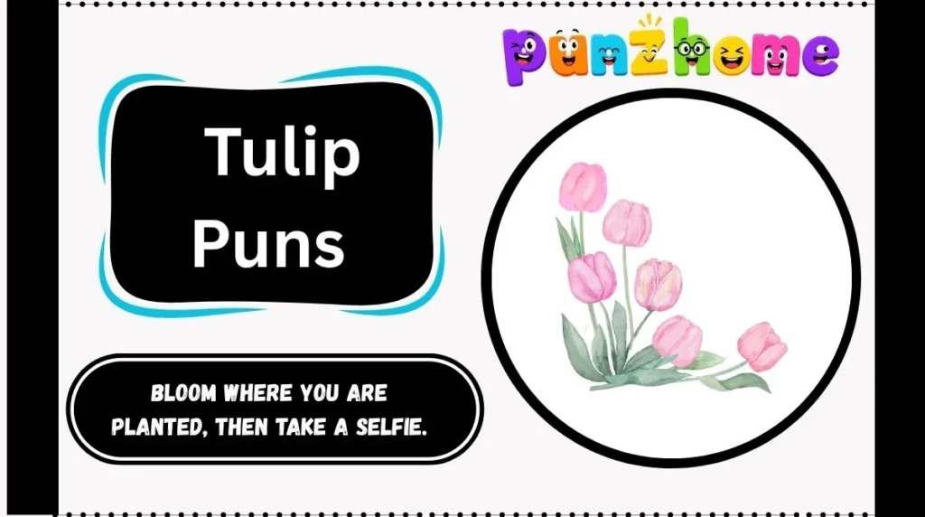 Tulip Puns