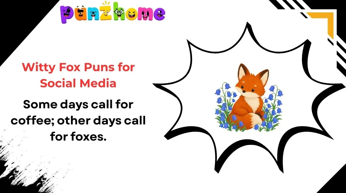Witty Fox Puns for Social Media