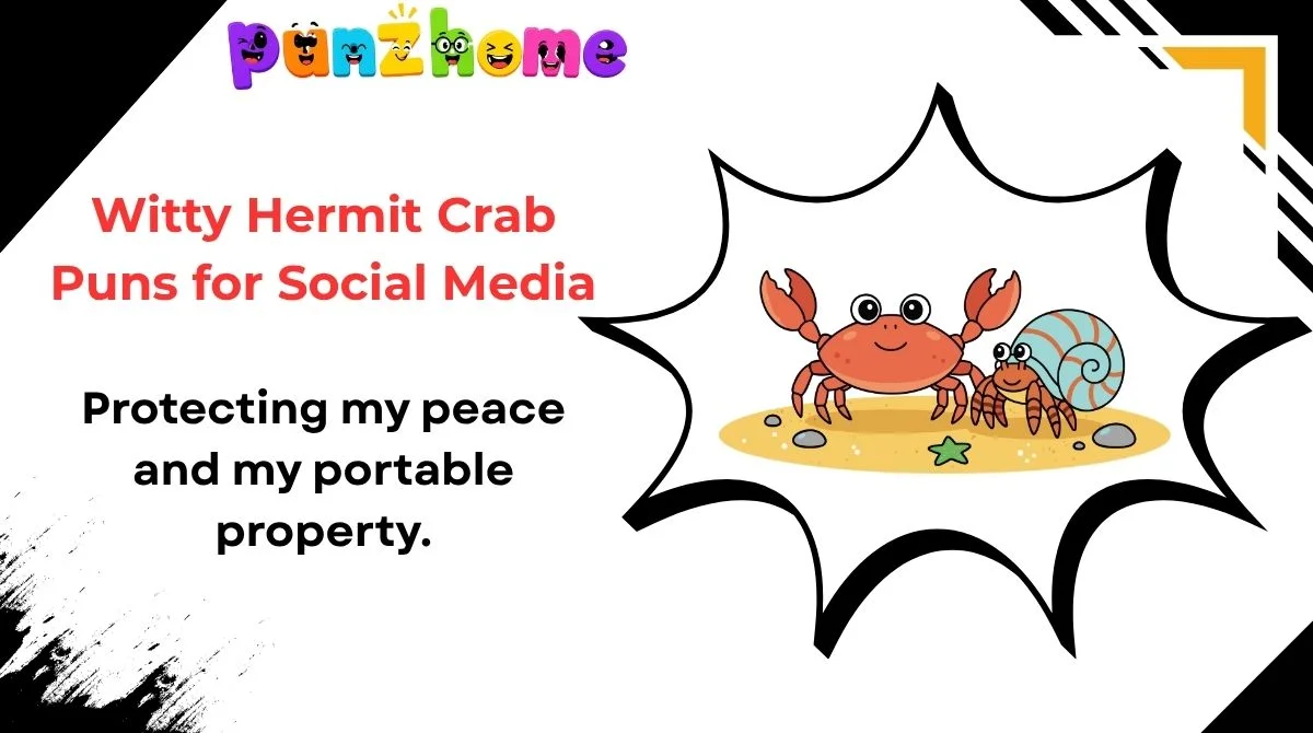 Witty Hermit Crab Puns for Social Media