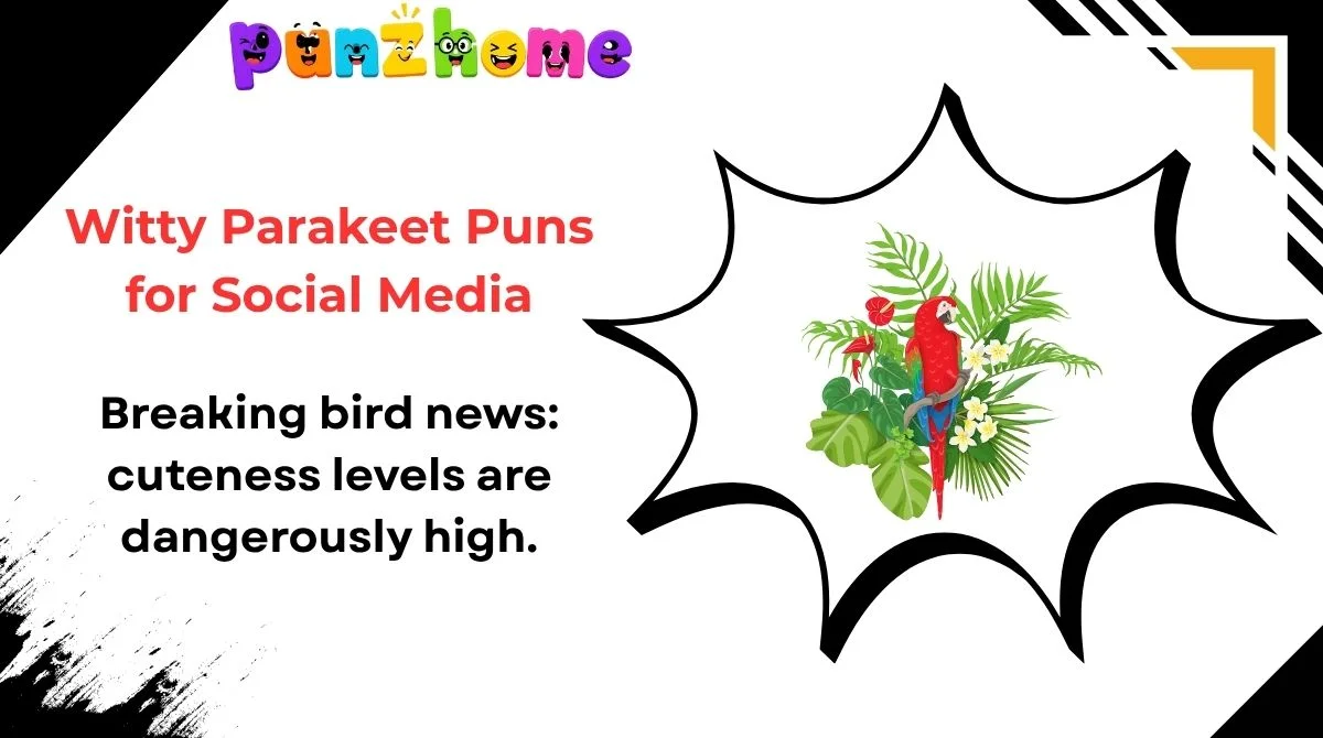Witty Parakeet Puns for Social Media