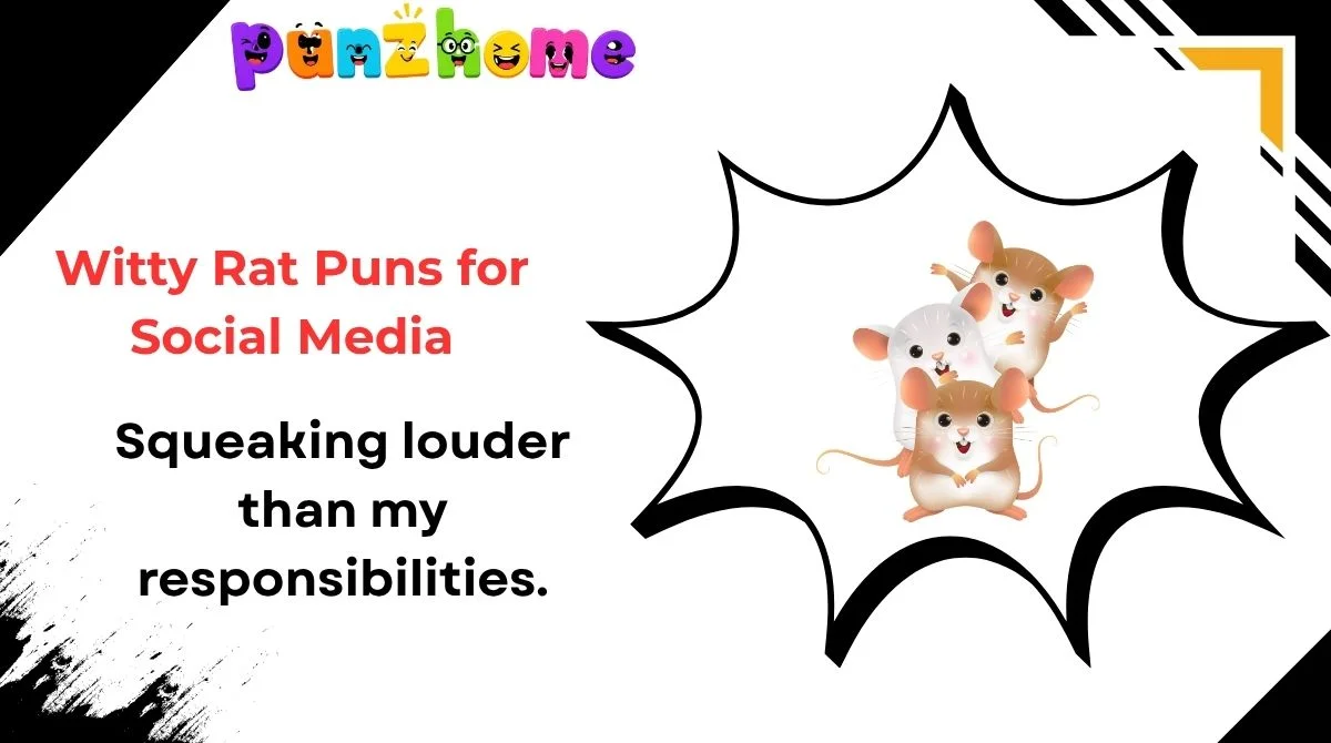 Witty Rat Puns for Social Media