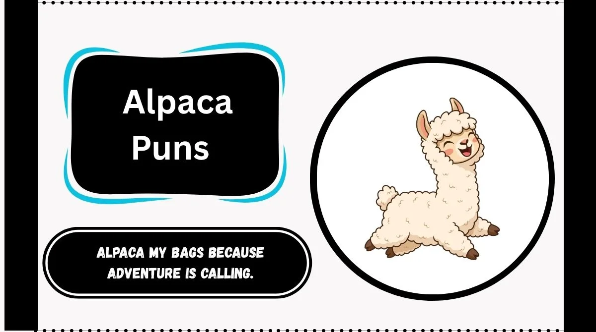 Alpaca Puns