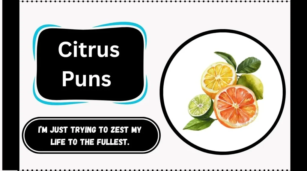 Citrus Puns