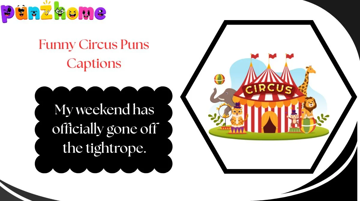 Funny Circus Puns Captions