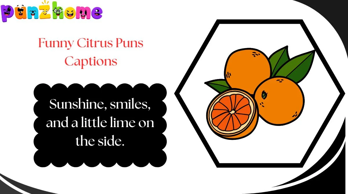 Funny Citrus Puns Captions