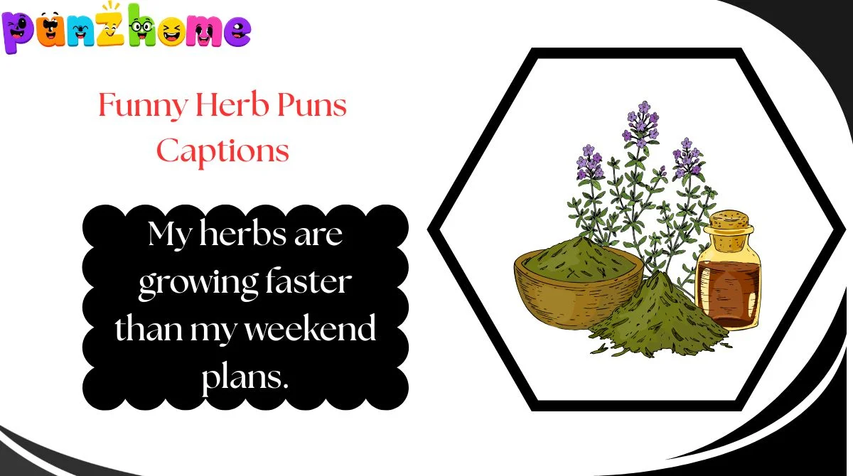 Funny Herb Puns Captions