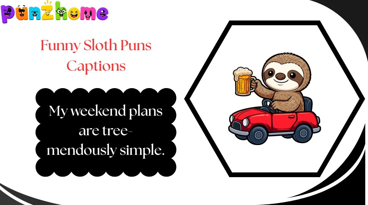Funny Sloth Puns Captions