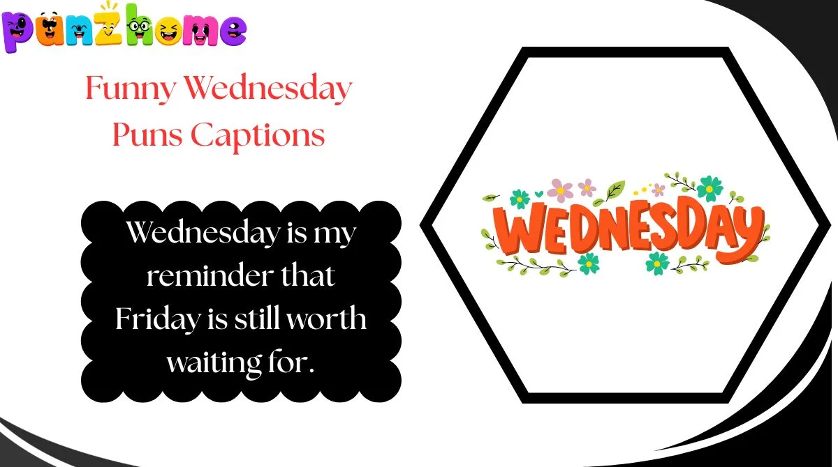 Funny Wednesday Puns Captions