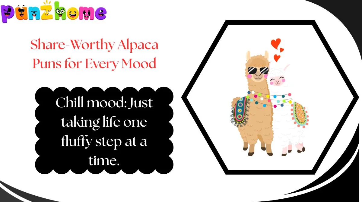 Share-Worthy Alpaca Puns for Every Mood