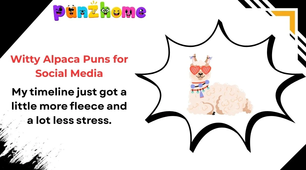 Witty Alpaca Puns for Social Media